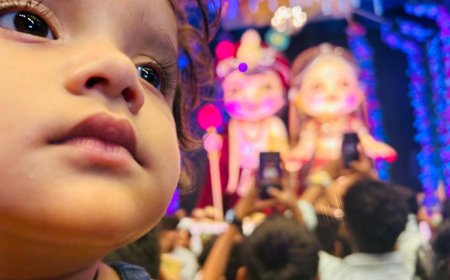 राजधानी रायपुर में विराजे गणपति जी की सुंदर झलकियाँ  | मनमोहक और अद्वितीय