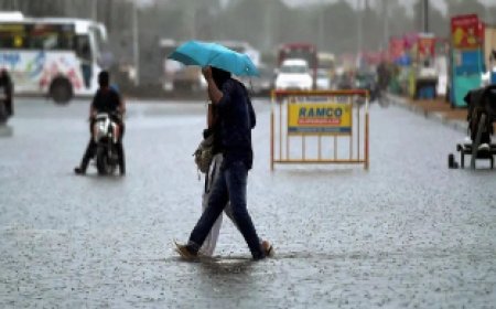 UP Weather Alert: उत्तर प्रदेश के इन जिलों में भयंकर बारिश की संभावना, मौसम विभाग नेजारी किया अलर्ट...