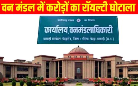 छत्तीसगढ़ हाईकोर्ट: वन मंडल में रॉयल्टी घोटाले और एनीकट निर्माण में भ्रष्टाचार पर गंभीर सुनवाई