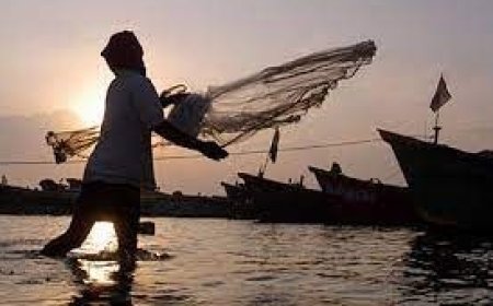 धमतरी: मछलियों का जाल बन गया मौत का फंदा, मछुआरे की दर्दनाक मौत