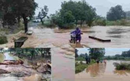36 घंटे की बारिश से जशपुर में बाढ़ के हालात: नदी का जलस्तर बढ़ने से तीन ग्रामीण टापू में फंसे, पुलिया बहने से कई गांवों का जिला-ब्लॉक मुख्यालय से संपर्क टूटा