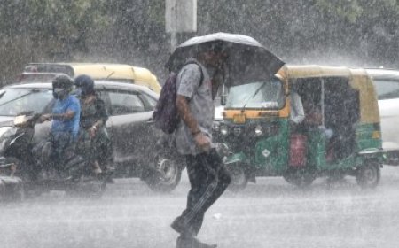 मानसून की बर्बादी: महाराष्ट्र में बाढ़, UP-बिहार में मूसलधार बारिश, जानें दिल्ली-NCR का  हाल..