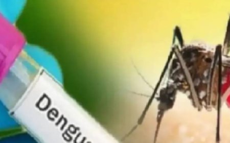 Rajasthan News: डेंगू का बढ़ता प्रकोप  राजस्थान में 4227 मामले दर्ज, कोटा की नर्सिंग छात्रा की मौत से हड़कंप...