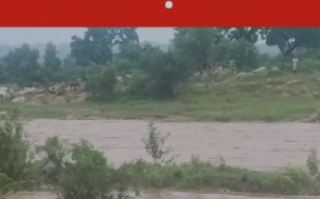 Chhattisgarh Weather: जशपुर में बारिश की बौछार, सरगुजा में अलर्ट की तैयारी , जानें रायपुर का मौसम कैसा रहेगा..