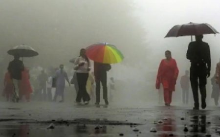 MP Rain Alert: गरज-चमक के साथ बारिश का अलर्ट, शिवपुरी-ग्वालियर में तेज धूप की संभावना जाने आज का मौसम..