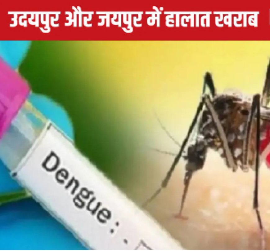 Rajasthan News : Rising Dengue Outbreak - 4227 Cases Registered in Rajasthan, Panic After Death of Nursing Student in Kota...