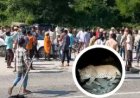 Udaipur News: 7 रेंजर, 80 जवान, 3 पिंजरे... आर्मी तक बुलाई, फिर भी आतंक मचा रहा तेंदुआ, युवती को बनाया शिकार..