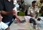 अमेरिका में गन कल्चर बनाम बिहार में कट्टा कल्चर: दो माह में घटित तीन खतरनाक घटनाएं...