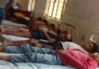 Lizard falls into food, causing health issues for 50 students and panic in the school.