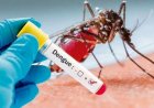 Gwalior: Four positive dengue cases reported in Teacher Colony, health department on alert.