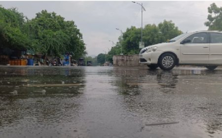 MP Rain Alert:मध्य प्रदेश में मानसून बारिश की चेतावनी, 17 जिलों में बूंदाबांदी की संभावना