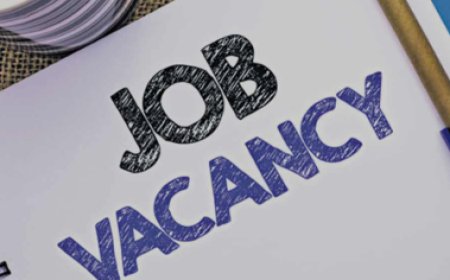 Sarkari Jobs: 10वीं से ग्रेजुएशन तक, मिलेगी 1,12,400 रुपए महीने की सैलरी