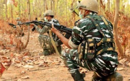 CG News : क्या बस्तर में नक्सलियों का अंत संभव है? कितने नक्सली हुए गिरफ्तार और कितने मारे गए?