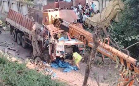 दुर्ग में फ्लाईओवर से 30 फीट नीचे गिरा ट्रक, चालक की हुई मौत, दो लोग गंभीर रूप से घायल