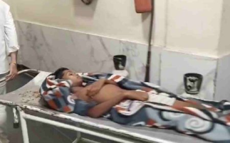 कांकेर में तेंदुए के हमले से दहशत : 11 साल का बच्चा गंभीर रूप से घायल