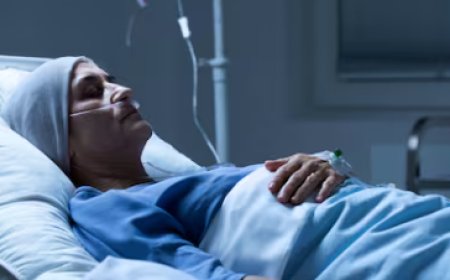 Bhopal News: Spike in Chicken Guinea and Dengue Cases, 101 People Tested in One Day
