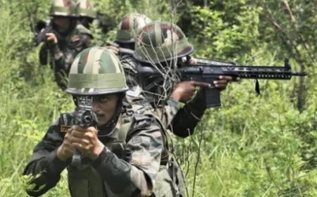 पुलिस-नक्सली मुठभेड़ में भारी जीत: 14 नक्सलियों के शव मिले, 24 माओवादी ढेर