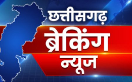 CG Breaking News : मॉर्निंग वॉक पर निकले 6 बच्चों को पिकअप ने कुचला, अस्पताल में भर्ती