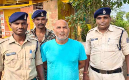 छत्तीसगढ़: वन विभाग में लाखों की धोखाधड़ी, मुख्य आरोपी गिरफ्तार
