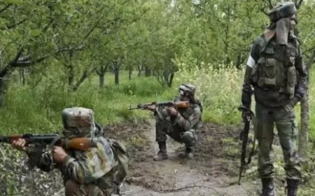 Police-Naxalite Encounter: Security Forces Eliminate One Naxalite, Seize Cache of Weapons