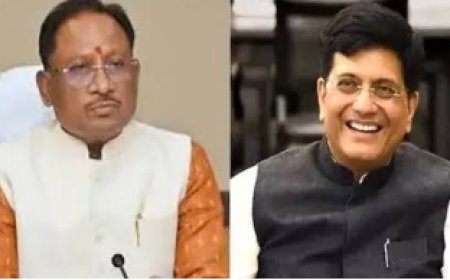 मुख्यमंत्री साय और केंद्रीय मंत्री पीयूष गोयल की बैठक: छत्तीसगढ़ के विकास के लिए औद्योगिक नीतियों पर चर्चा