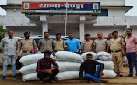 जीपीएम पुलिस का बड़ा ऑपरेशन: 485 किलो गांजा जब्त, 11 आरोपी गिरफ्तार