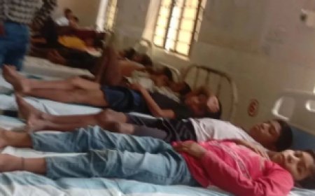 Lizard falls into food, causing health issues for 50 students and panic in the school.