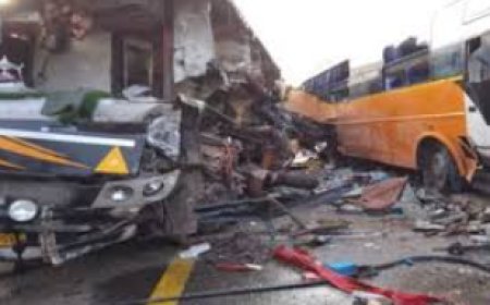 Tragic Bus Accident in Agra: One Person Lost Their Life, Over 15 Injured