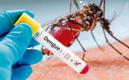 Gwalior: Four positive dengue cases reported in Teacher Colony, health department on alert.