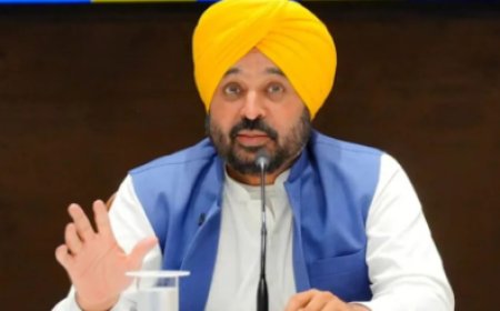 पंजाब में पराली जलाने में 77% की कमी: क्या दिल्ली में वायु प्रदूषण पर लगेगा अंकुश?