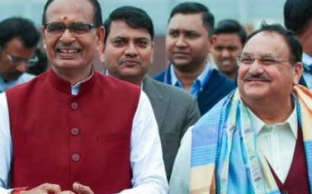 भाजपा के नए अध्यक्ष के लिए दावेदार: संभावनाएं और रणनीतियाँ