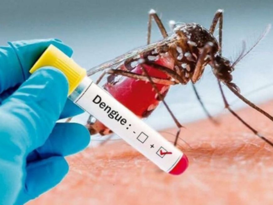 Gwalior: Four positive dengue cases reported in Teacher Colony, health department on alert.