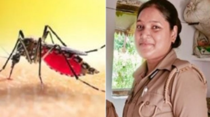 Tragic Death of Woman Constable Due to Dengue: Health Deteriorated After Maternity Leave